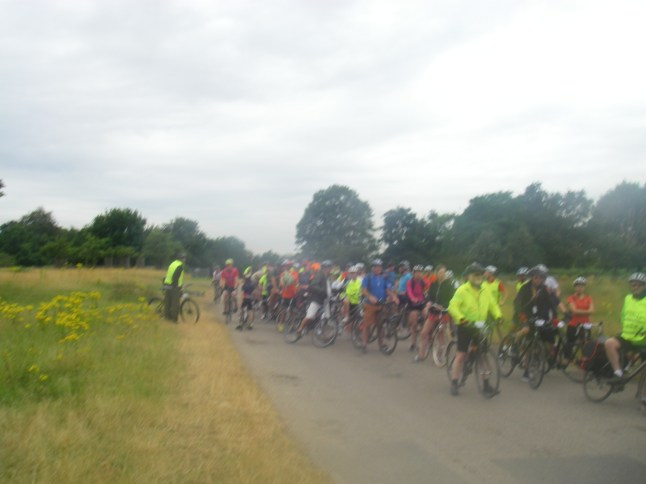 Ham cross, Richmond Park